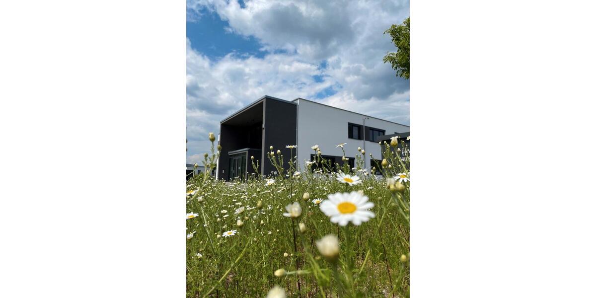 Helle und moderne Büroraumfläche (ca. 15 qm) zu vermieten zimmer