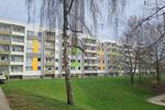 Etagenwohnung Döbeln - 2 Zimmer, 49 m&sup2;, 230&euro; | Angebot:24601710