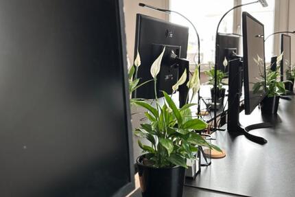 Gewerbeobjekt Pforzheim Weststadt - 225&euro; | Angebot:26051188