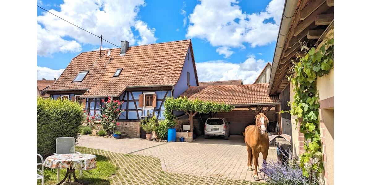 Wohnen auf Zeit Wörth am Rhein - 1 Zimmer, 18 m&sup2;, 45&euro; | Angebot:26417730