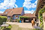 Wohnen auf Zeit Wörth am Rhein - 1 Zimmer, 18 m&sup2;, 45&euro; | Angebot:26417730