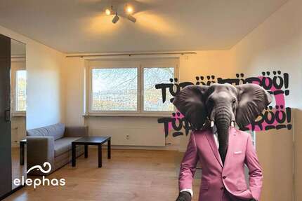 Wohnung zum Mieten in Tübingen 765 € 37.67 m² 1 zimmer