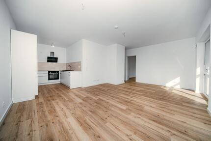 Wohnung Wildeshausen - 2 Zimmer, 78 m&sup2;, 911&euro; | Angebot:25181887