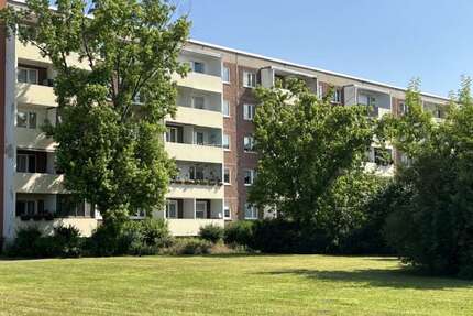 Wohnung Halle (Saale) Nietleben - 3 Zimmer, 57 m&sup2;, 300&euro; | Angebot:27290705