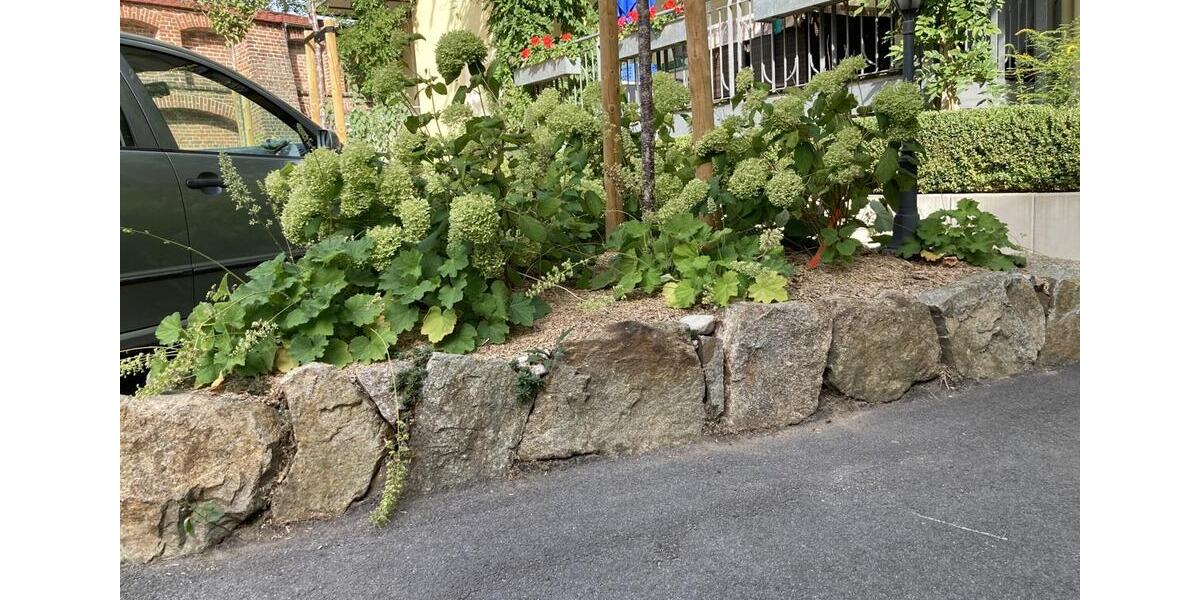 Erdgeschoßwohnung Görlitz - 2 Zimmer, 52 m&sup2;, 495&euro; | Angebot:25713815