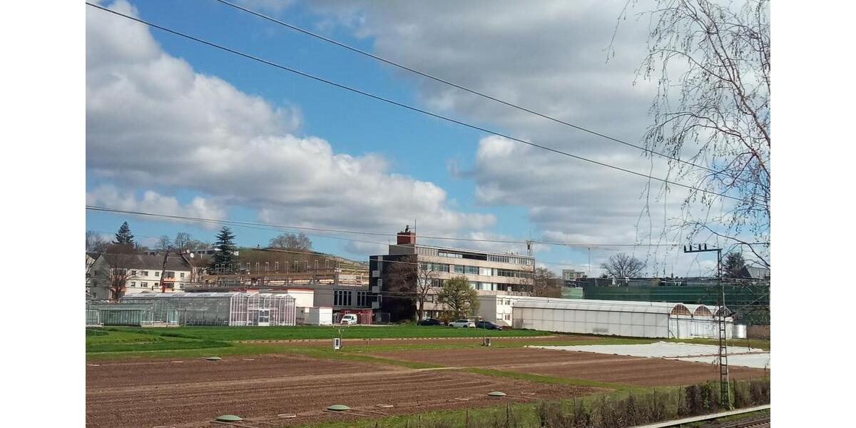 Etagenwohnung Geisenheim - 1 Zimmer, 18 m&sup2;, 320&euro; | Angebot:25870310