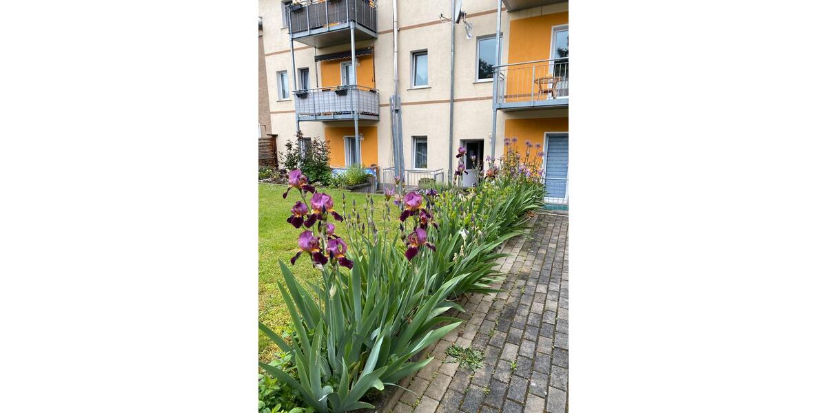 Erdgeschoßwohnung Groitzsch - 1 Zimmer, 39 m&sup2;, 292&euro; | Angebot:26213076