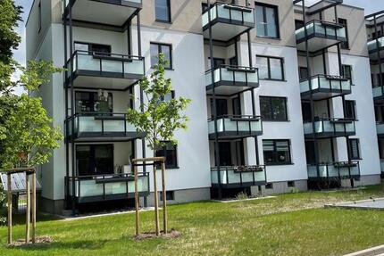 Licht. Luft. Leben. - Moderne Wohnung mit Wohlfühlfaktor in Vorsfelde! zimmer
