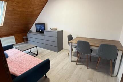 Wohnung Hattersheim am Main - 2 Zimmer, 50 m&sup2;, 1.100&euro; | Angebot:27619351