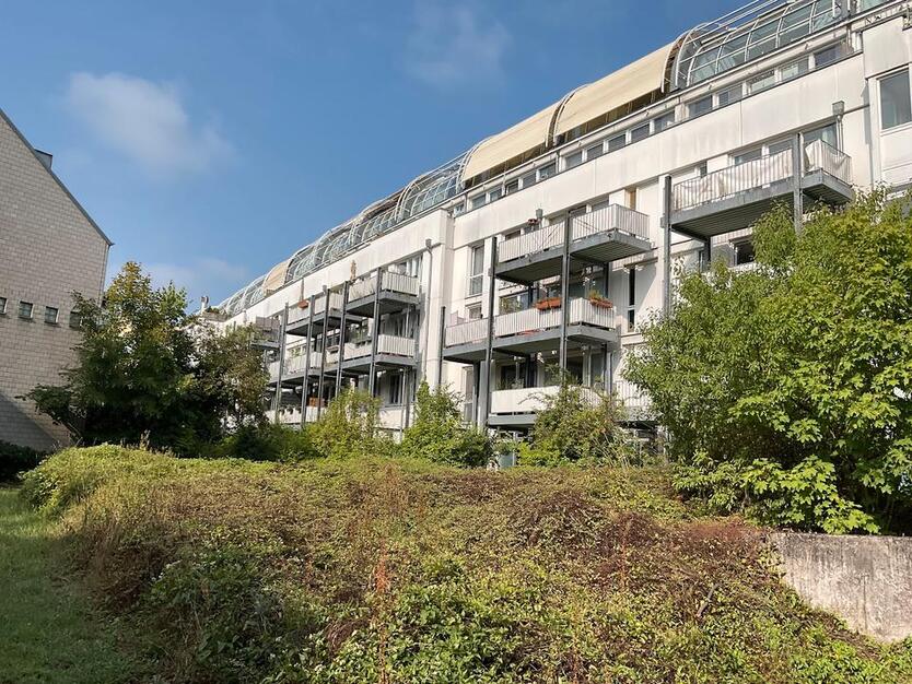 Gepflegte Wohnung in ruhiger Lage von Bad Godesberg zu vermieten zimmer
