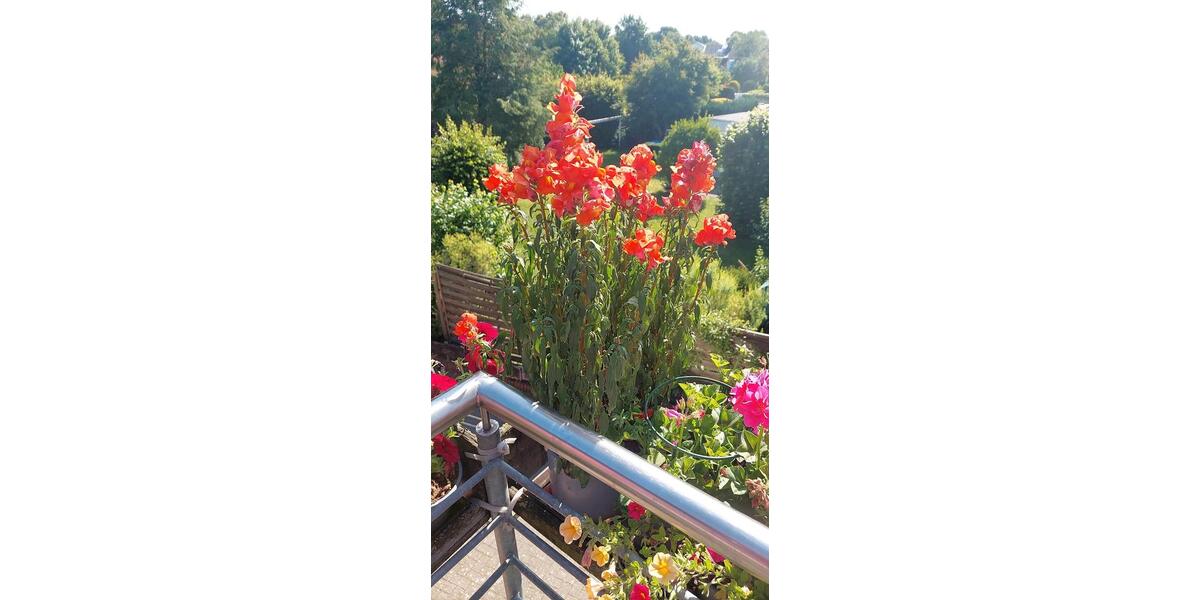 Monteurzimmer zimmer