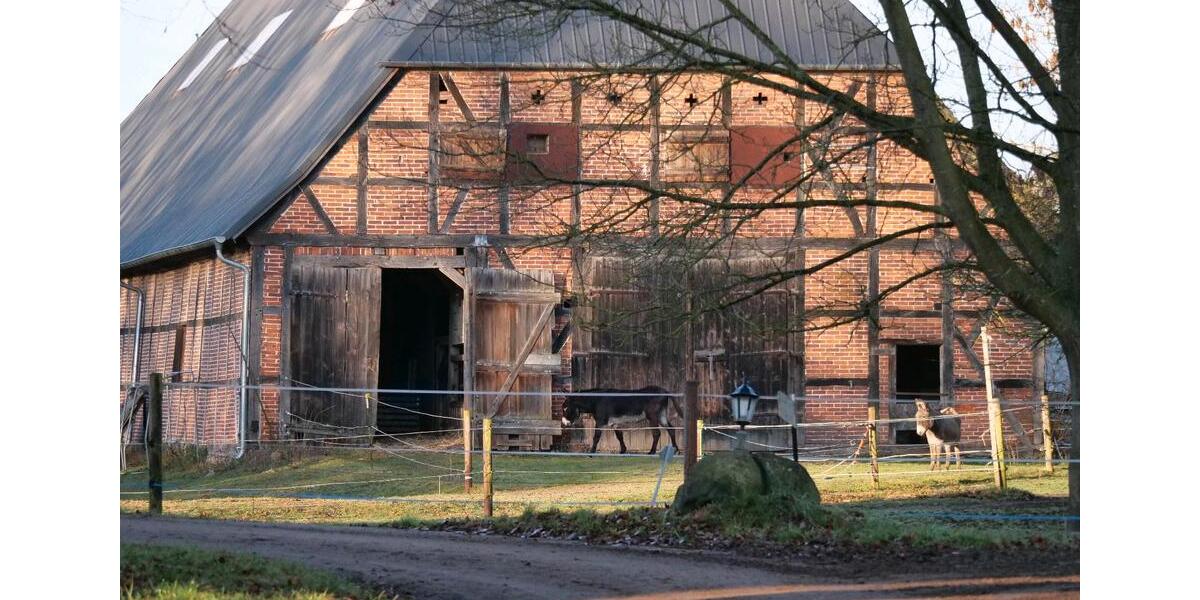 Wohnen auf Zeit Ratzeburg - 1 Zimmer, 18 m&sup2;, 525&euro; | Angebot:24454126