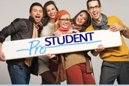 Wohnung Flensburg - 1 Zimmer, 22 m&sup2;, 370&euro; | Angebot:25080232