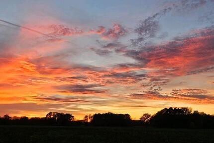 Wohnen auf Zeit Halle - 5 Zimmer, 150 m&sup2;, 600&euro; | Angebot:24868312