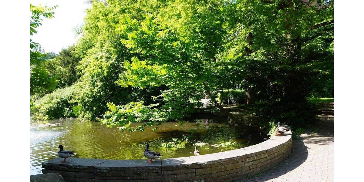 Etagenwohnung Köln Bayenthal - 3 Zimmer, 97 m&sup2;, 1.650&euro; | Angebot:26751060