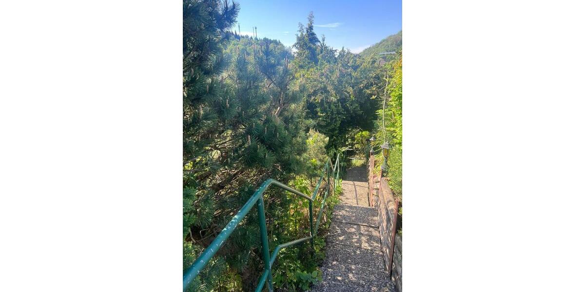 Ferienhaus Blockhaus Harz b 8 Pers +Hunde Terrassen 2 Kamine 4 zimmer