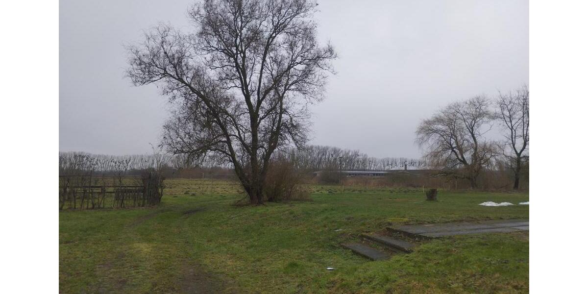 Etagenwohnung Ferdinandshof - 3 Zimmer, 60 m&sup2;, 300&euro; | Angebot:24878209