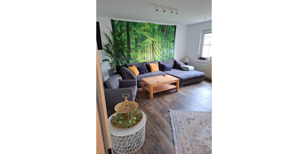 Etagenwohnung Siegen Dillnhütten - 2 Zimmer, 64 m&sup2;, 720&euro; | Angebot:26698629