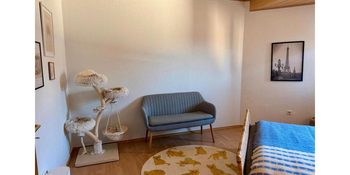 Dachgeschoßwohnung Mayen - 3 Zimmer, 90 m&sup2;, 850&euro; | Angebot:24817502