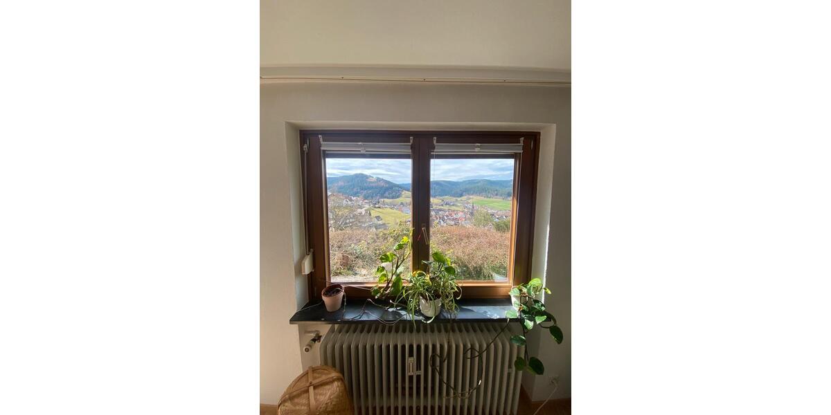 Terrassenwohnung Baiersbronn - 3 Zimmer, 60 m&sup2;, 650&euro; | Angebot:26611896