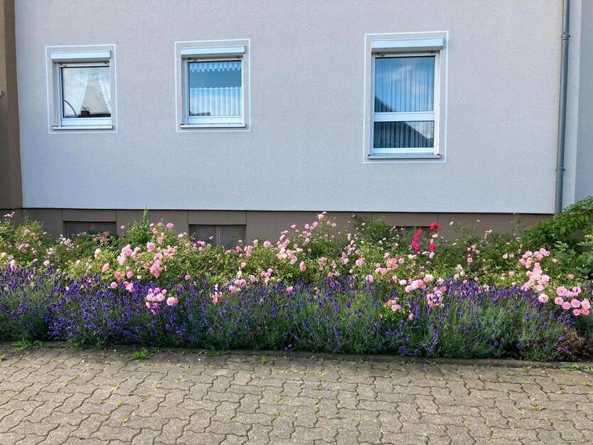 3 Zimmer Wohnung EG