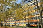 Beliebte 3-Raum-Wohnung in Bestlage 3 zimmer