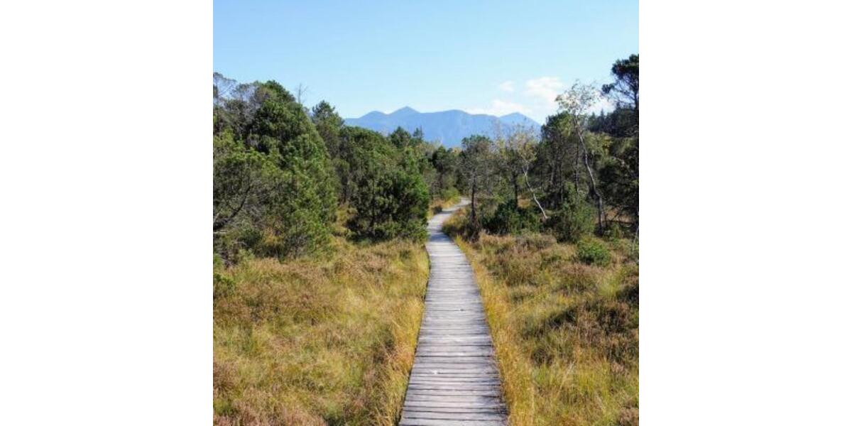 Einfamilienhaus Murnau am Staffelsee - 2.000&euro; | Angebot:24691377