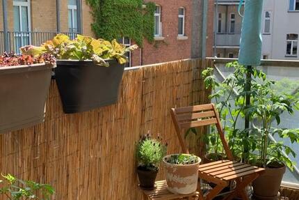 Schöne Wohnung im Damenviertel zur Zwischenmiete 2 zimmer