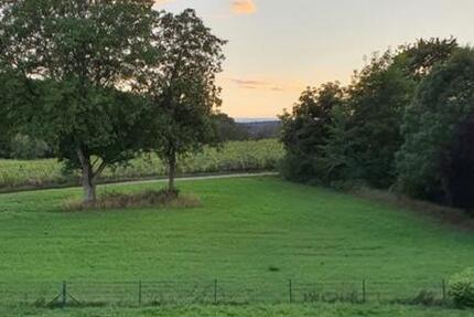 Ruhige 3-Zimmer-Wohnung am Feldrand in Nidderau zu vermieten zimmer