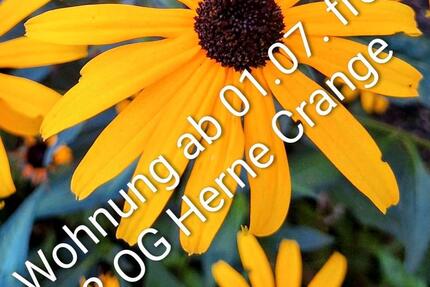 Wohnung Herne Wanne - 2 Zimmer, 54 m&sup2;, 566&euro; | Angebot:26032936