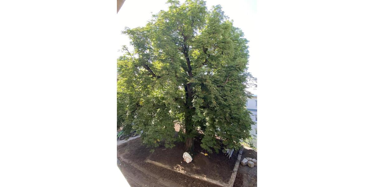 Erdgeschoßwohnung Leonberg - 4 Zimmer, 105 m&sup2;, 1.783&euro; | Angebot:23644751