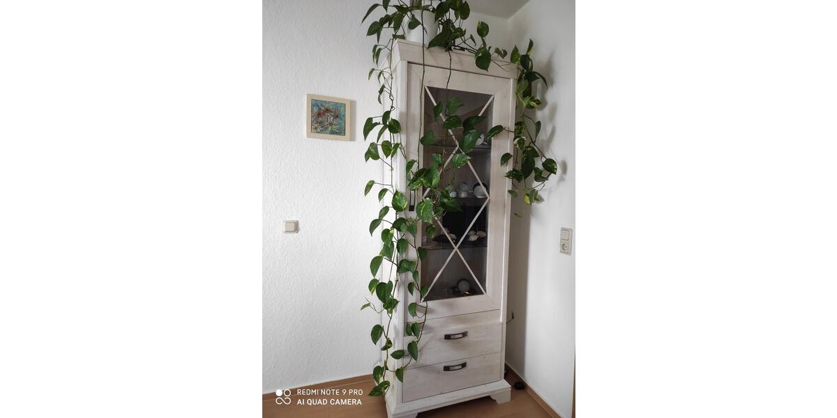 Wohnen auf Zeit Neubrandenburg - 5 Zimmer, 110 m&sup2;, 279&euro; | Angebot:25079552