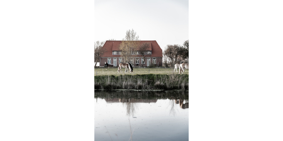 Dachgeschoßwohnung Garding - 3 Zimmer, 1.200&euro; | Angebot:22589022