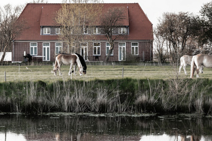 Wohnung Garding - 3 Zimmer, 1.200&euro; | Angebot:22589022