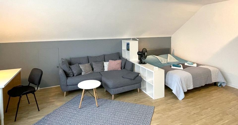Dachgeschoßwohnung Ilvesheim - 1 Zimmer, 49 m&sup2;, 1.090&euro; | Angebot:24525198
