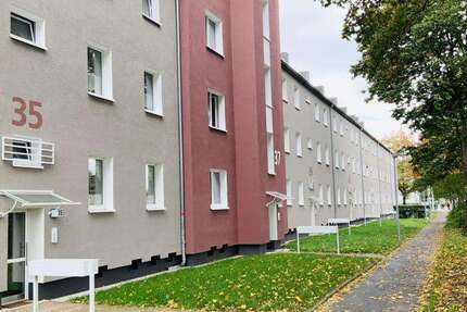 Wohnung Bochum Hiltrop - 3 Zimmer, 48 m&sup2;, 409&euro; | Angebot:27286286