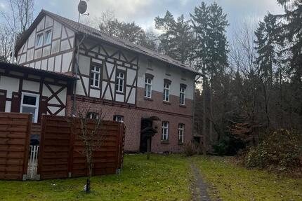 Wohnung Lychen - 2 Zimmer, 50 m&sup2;, 320&euro; | Angebot:24681276