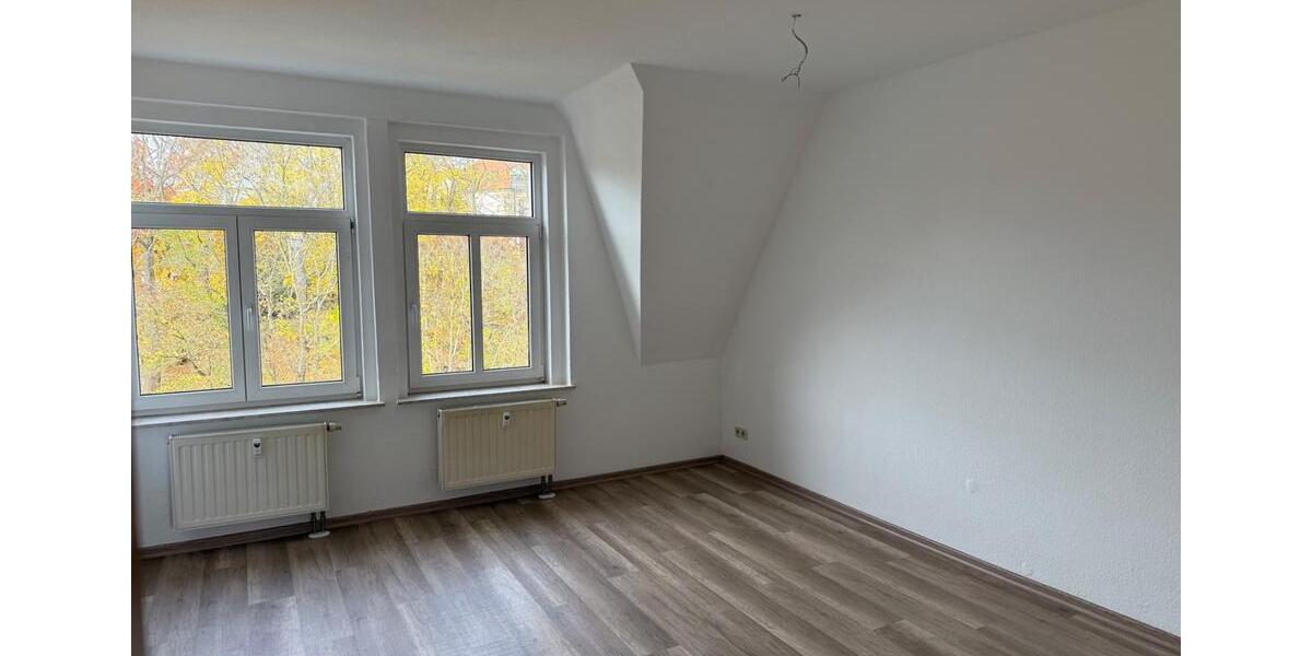Dachgeschoßwohnung Plauen - 1 Zimmer, 52 m&sup2;, 310&euro; | Angebot:26254479