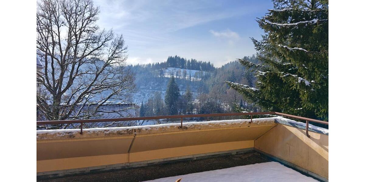 Terrassenwohnung Schönau im Schwarzwald - 1 Zimmer, 47 m&sup2;, 510&euro; | Angebot:24740474