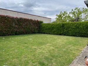 Erdgeschoßwohnung Wöllstein - 3 Zimmer, 91 m&sup2;, 620&euro; | Angebot:26636616