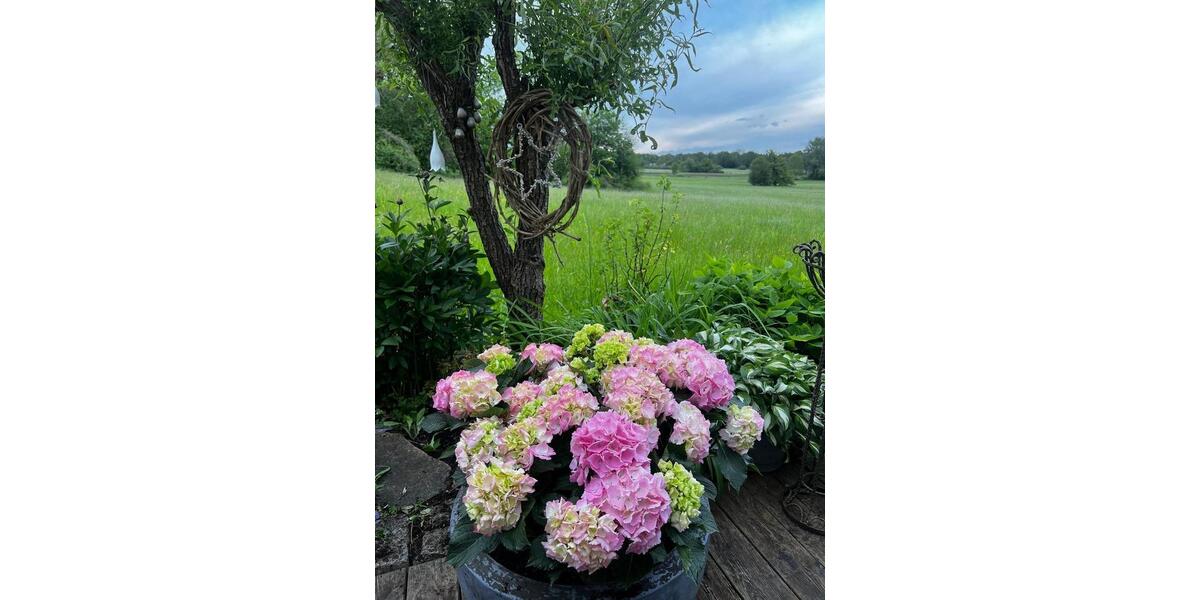 Doppelhaushälfte Seefeld - 5.5 Zimmer, 172 m&sup2;, 2.995&euro; | Angebot:26270965