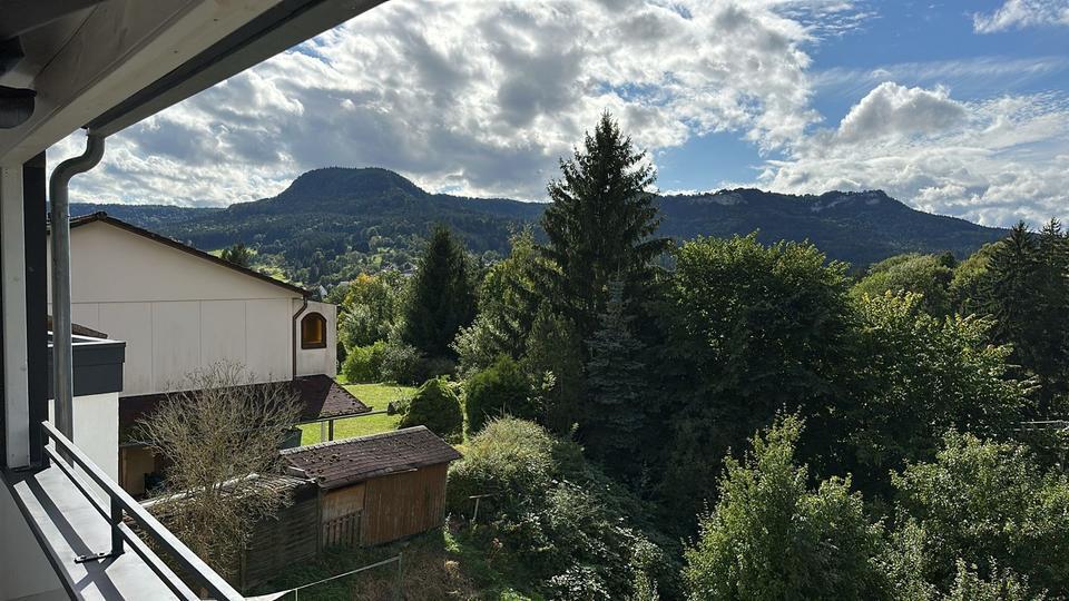 2 Zimmer Wohnung Albstadt-Laufen