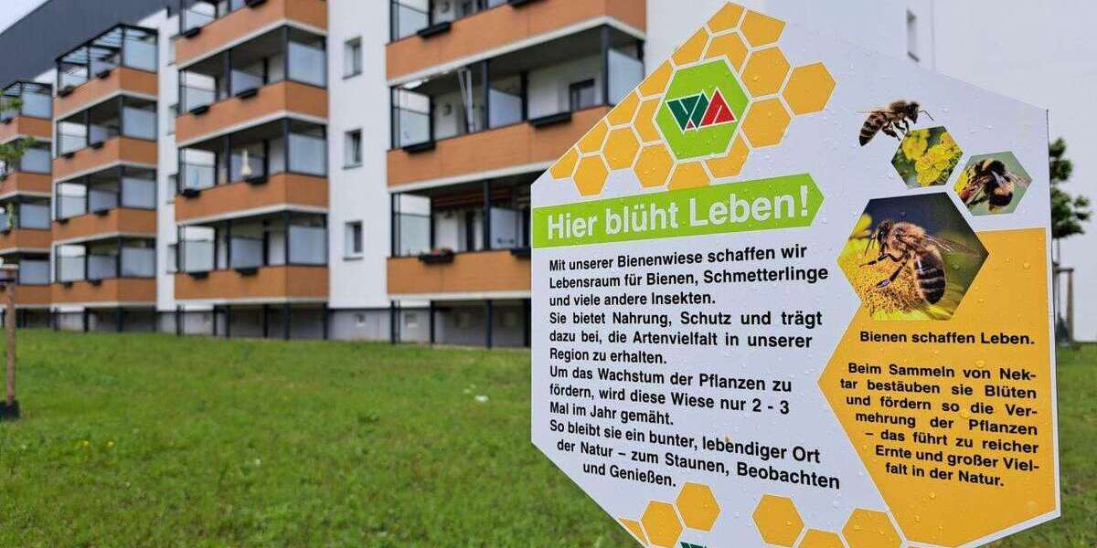 Etagenwohnung Magdeburg Sudenburg - 3 Zimmer, 58 m&sup2;, 330&euro; | Angebot:26977484