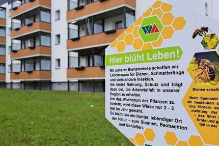 Wohnung Magdeburg Sudenburg - 3 Zimmer, 58 m&sup2;, 330&euro; | Angebot:26977484