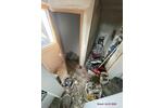 Erlensee: 3-Zimmer-Dachgeschoßwohnung 65 m² - renoviert - 1.9.25