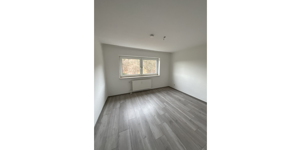 Etagenwohnung Neunkirchen Salchendorf - 3 Zimmer, 74 m&sup2;, 419&euro; | Angebot:27183986