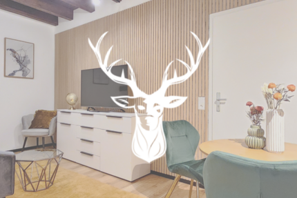 Zimmer Waldshut-Tiengen Tiengen - 1.5 Zimmer, 1.500&euro; | Angebot:17107583