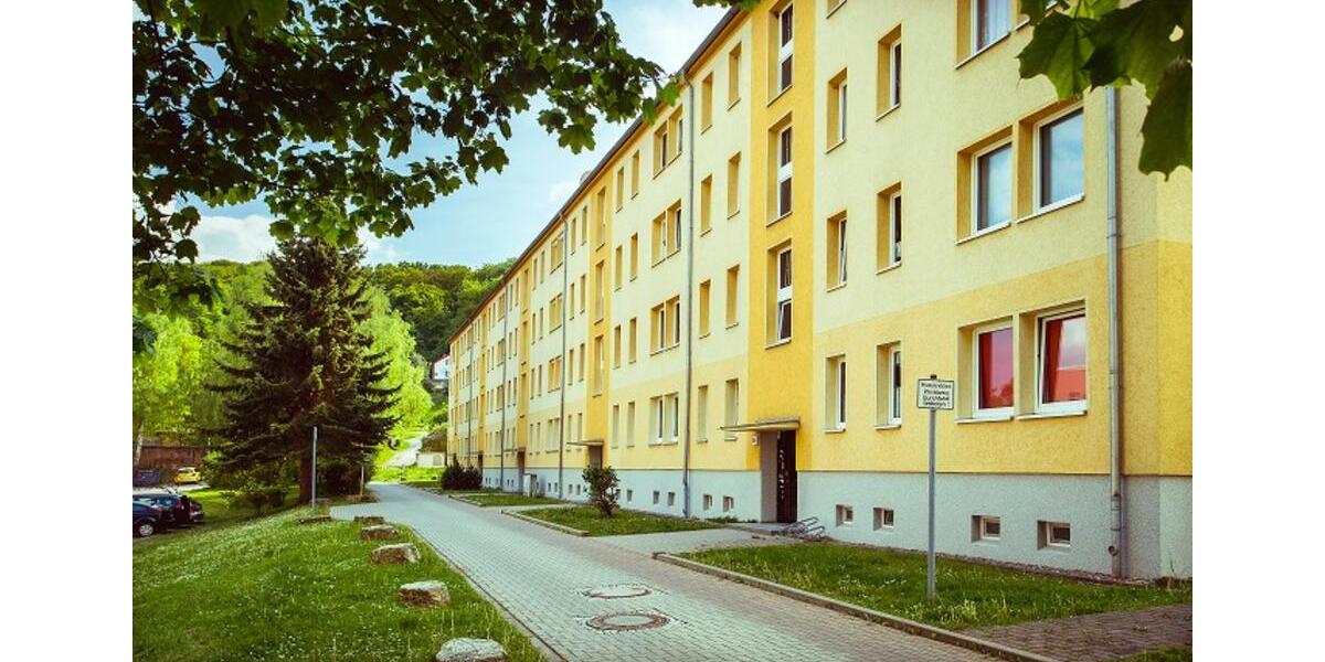 Etagenwohnung Sondershausen - 2 Zimmer, 46 m&sup2;, 276&euro; | Angebot:23976376