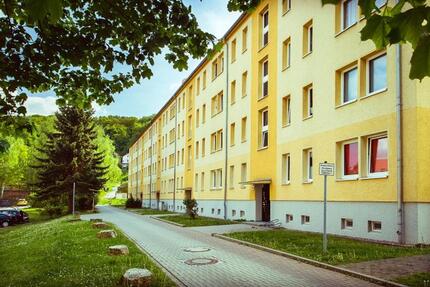 Wohnung Sondershausen - 2 Zimmer, 46 m&sup2;, 276&euro; | Angebot:23976376