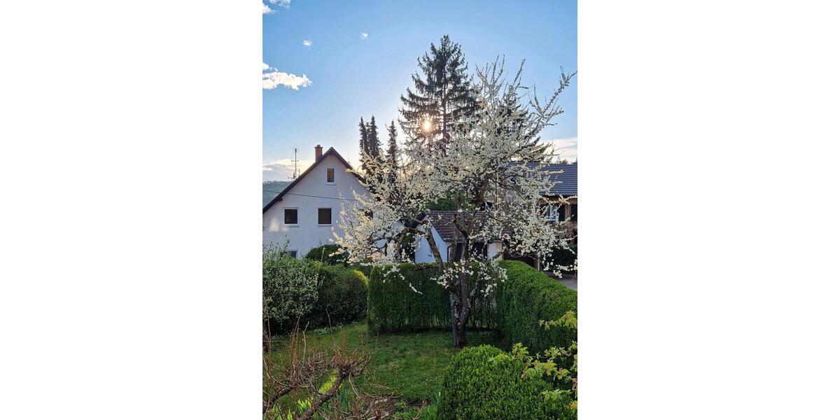 Wohnen auf Zeit Lörrach Salzert - 3.5 Zimmer, 108 m&sup2;, 2.000&euro; | Angebot:26691465